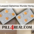 Leopard Secret Miracle Honey 25
